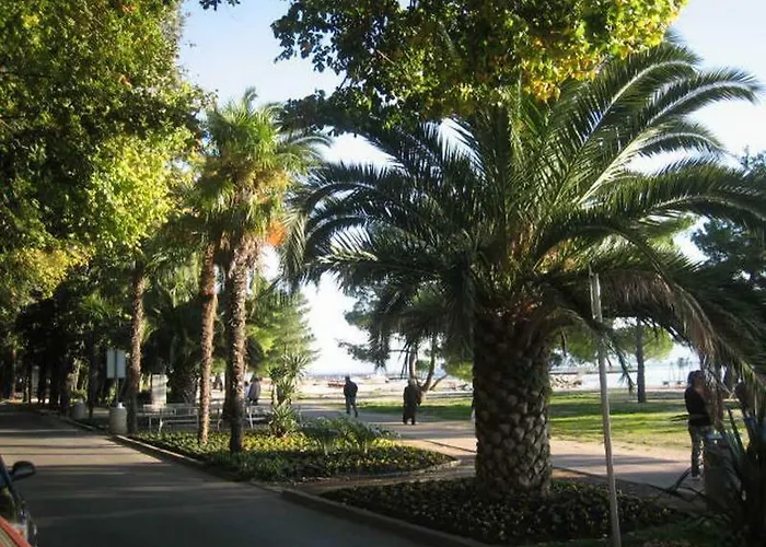 Delfin Apartments
