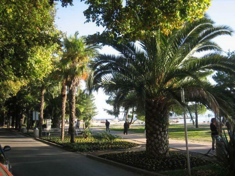 Delfin Apartment