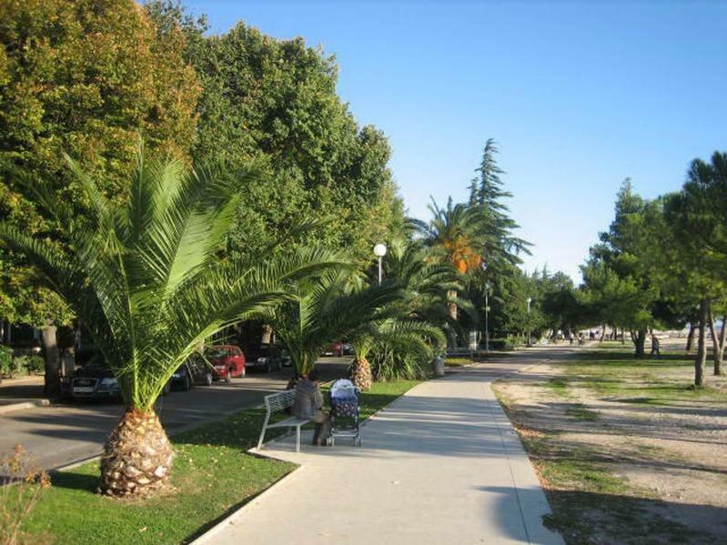 Apartment Delfin Crikvenica